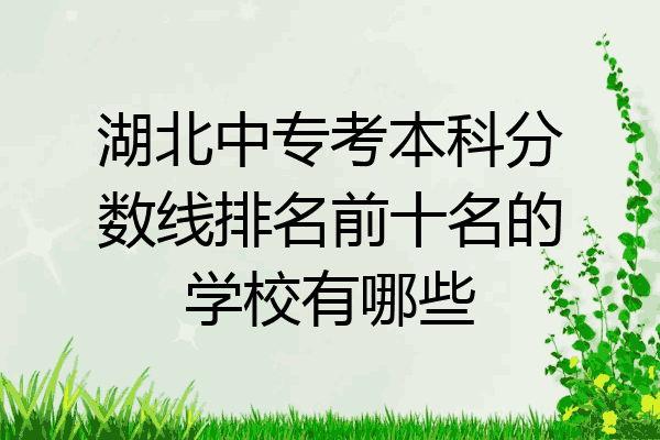湖北中专考本科分数线排名前十名的学校有哪些