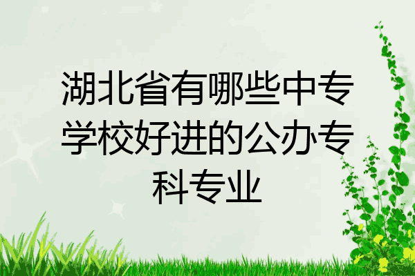 湖北省有哪些中专学校好进的公办专科专业