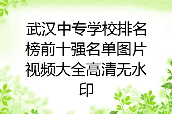 武汉中专学校排名榜前十强名单图片视频大全高清无水印