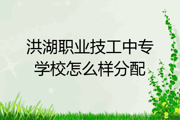 洪湖职业技工中专学校怎么样分配