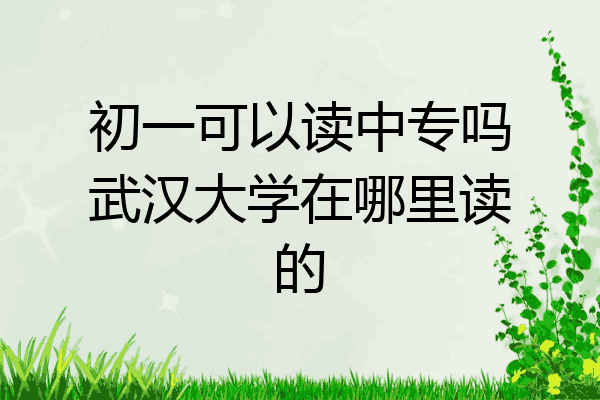 初一可以读中专吗武汉大学在哪里读的