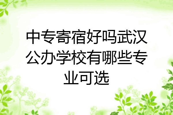 中专寄宿好吗武汉公办学校有哪些专业可选