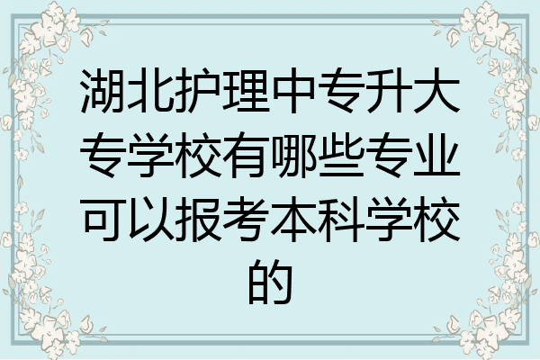 湖北护理中专升大专学校有哪些专业可以报考本科学校的