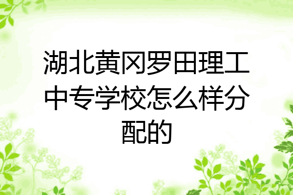 湖北黄冈罗田理工中专学校怎么样分配的