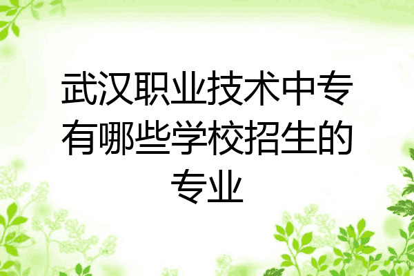 武汉职业技术中专有哪些学校招生的专业