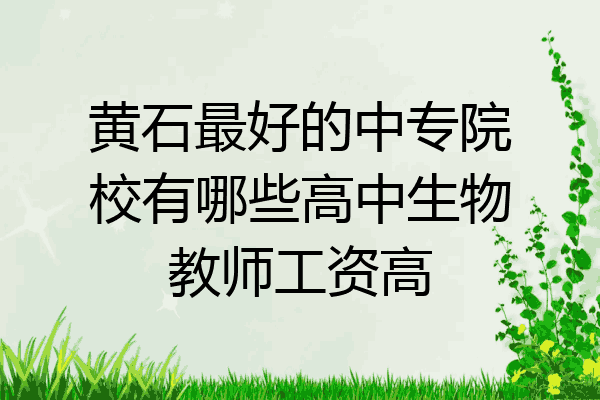 黄石最好的中专院校有哪些高中生物教师工资高