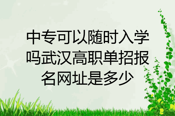 中专可以随时入学吗武汉高职单招报名网址是多少