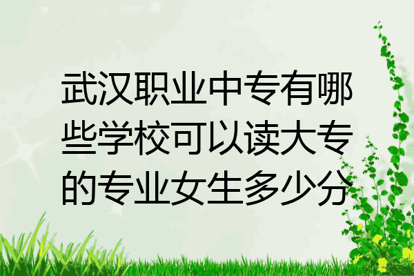 武汉职业中专有哪些学校可以读大专的专业女生多少分