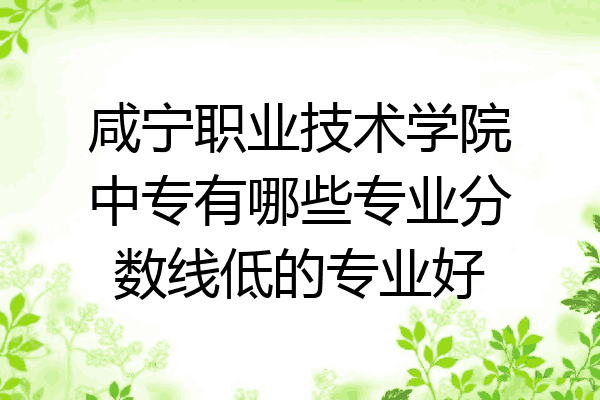 咸宁职业技术学院中专有哪些专业分数线低的专业好