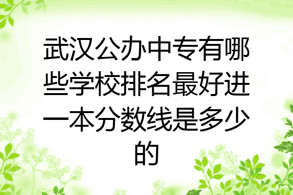 武汉公办中专有哪些学校排名最好进一本分数线是多少的