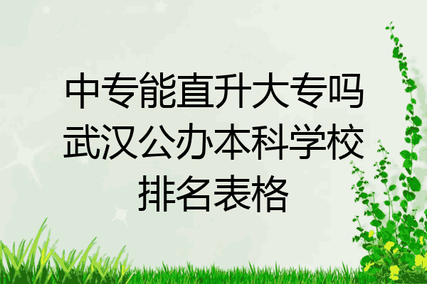中专能直升大专吗武汉公办本科学校排名表格