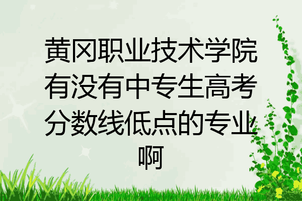 黄冈职业技术学院有没有中专生高考分数线低点的专业啊
