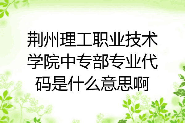 荆州理工职业技术学院中专部专业代码是什么意思啊
