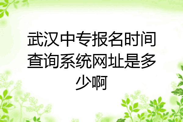 武汉中专报名时间查询系统网址是多少啊