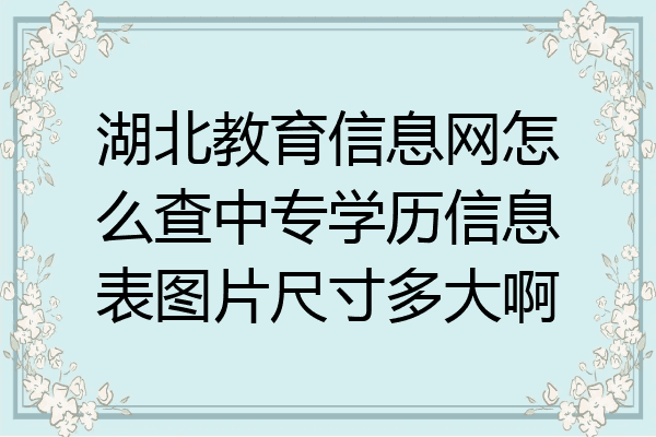 湖北教育信息网怎么查中专学历信息表图片尺寸多大啊