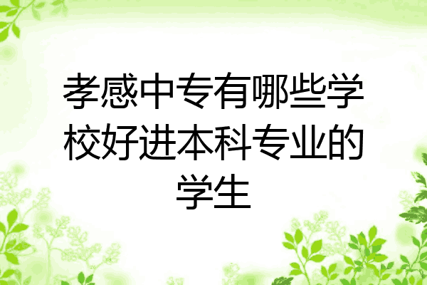 孝感中专有哪些学校好进本科专业的学生