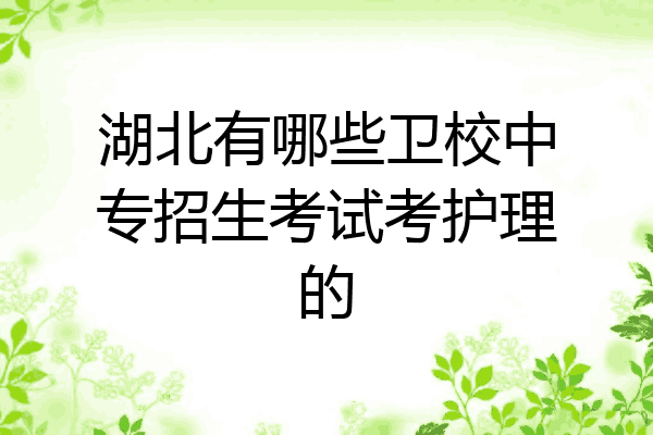 湖北有哪些卫校中专招生考试考护理的