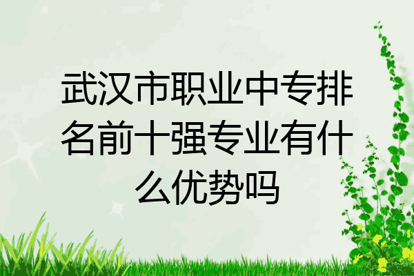 武汉市职业中专排名前十强专业有什么优势吗