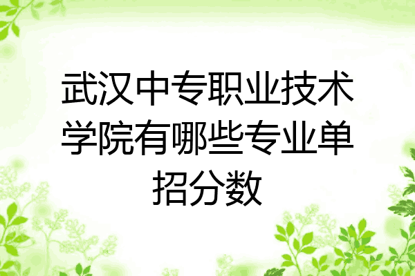 武汉中专职业技术学院有哪些专业单招分数