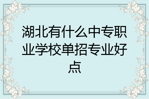 湖北有什么中专职业学校单招专业好点