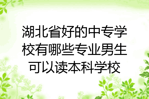 湖北省好的中专学校有哪些专业男生可以读本科学校