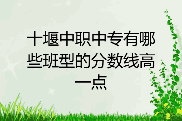 十堰中职中专有哪些班型的分数线高一点