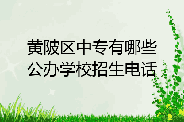 黄陂区中专有哪些公办学校招生电话