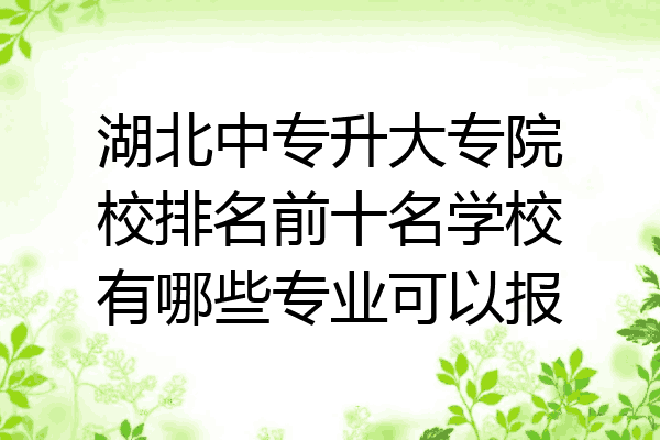 湖北中专升大专院校排名前十名学校有哪些专业可以报