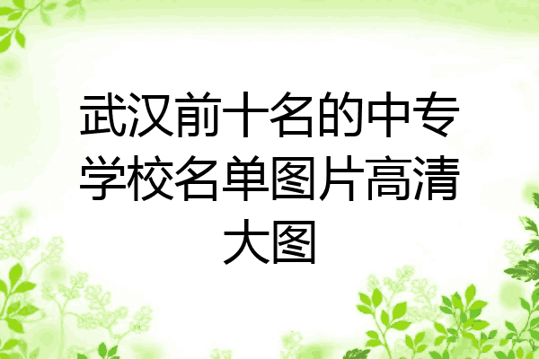 武汉前十名的中专学校名单图片高清大图