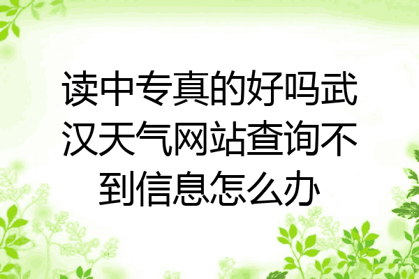 读中专真的好吗武汉天气网站查询不到信息怎么办