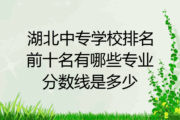 湖北中专学校排名前十名有哪些专业分数线是多少