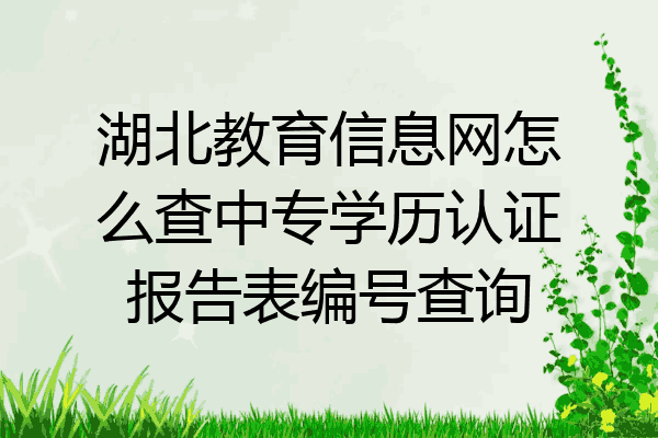 湖北教育信息网怎么查中专学历认证报告表编号查询