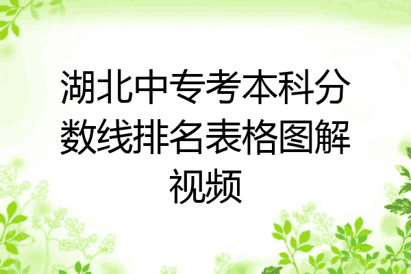 湖北中专考本科分数线排名表格图解视频