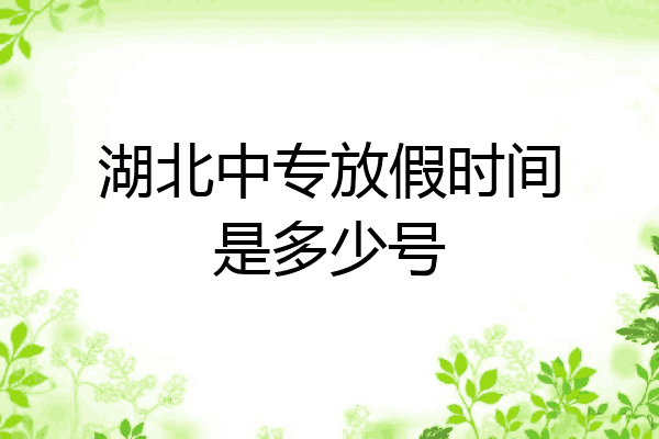 湖北中专放假时间是多少号