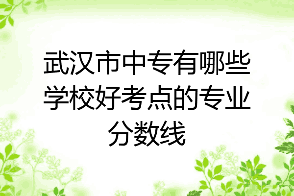 武汉市中专有哪些学校好考点的专业分数线