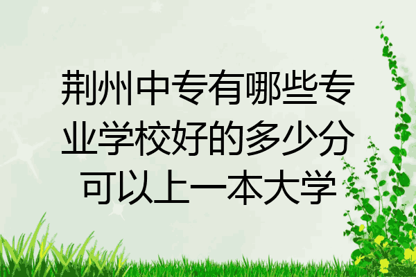 荆州中专有哪些专业学校好的多少分可以上一本大学