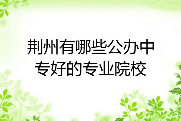 荆州有哪些公办中专好的专业院校