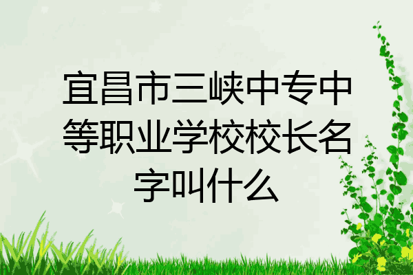 宜昌市三峡中专中等职业学校校长名字叫什么