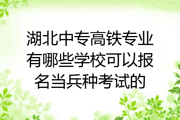 湖北中专高铁专业有哪些学校可以报名当兵种考试的