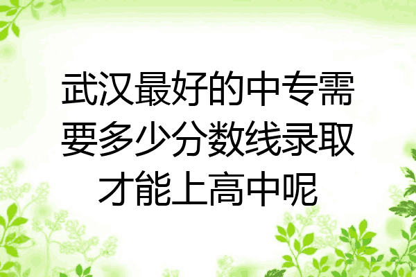 武汉最好的中专需要多少分数线录取才能上高中呢