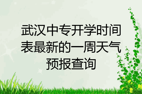 武汉中专开学时间表最新的一周天气预报查询