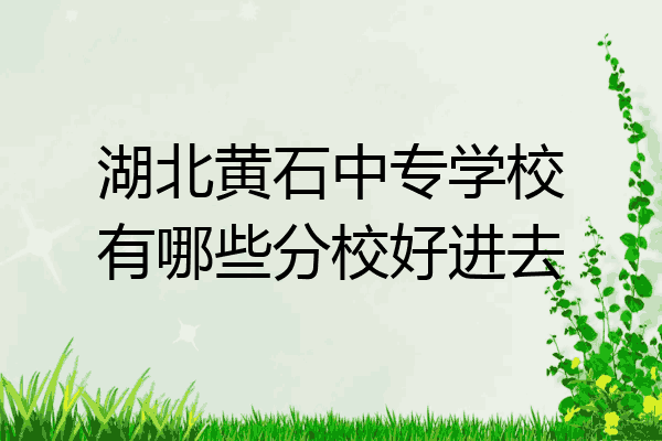 湖北黄石中专学校有哪些分校好进去