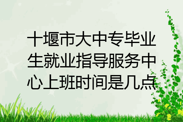 十堰市大中专毕业生就业指导服务中心上班时间是几点