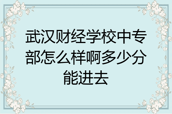 武汉财经学校中专部怎么样啊多少分能进去