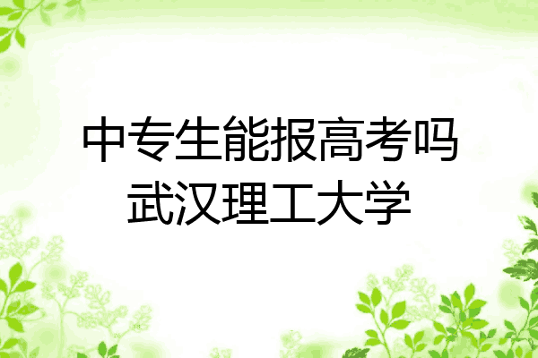 中专生能报高考吗武汉理工大学