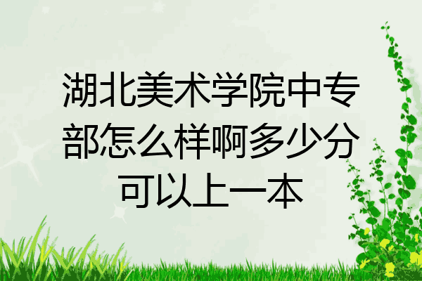 湖北美术学院中专部怎么样啊多少分可以上一本