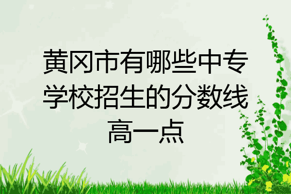 黄冈市有哪些中专学校招生的分数线高一点
