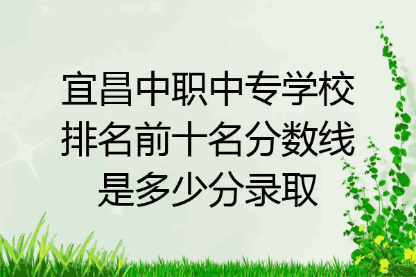 宜昌中职中专学校排名前十名分数线是多少分录取