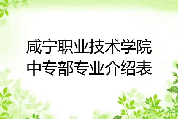 咸宁职业技术学院中专部专业介绍表