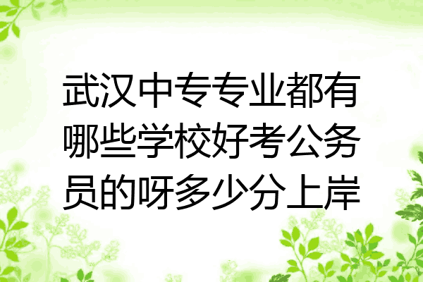 武汉中专专业都有哪些学校好考公务员的呀多少分上岸